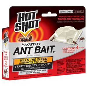 Best Ant Killer - HotShot Ant Bait