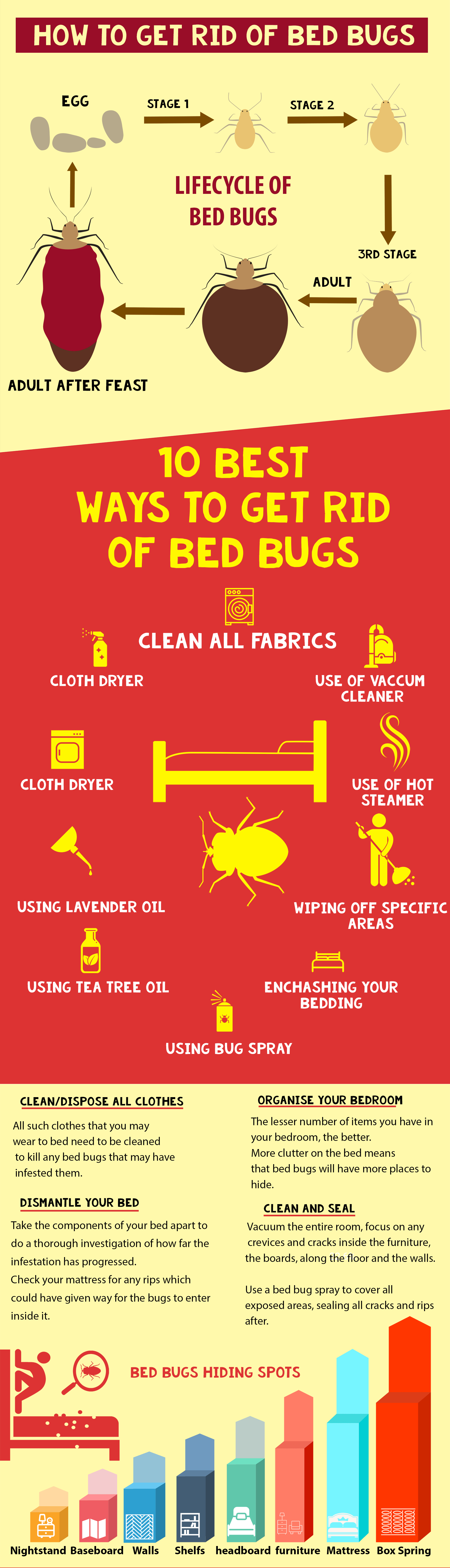 How to get rid of Bed Bugs - Infographic