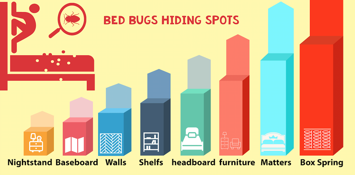 Bed Bug Hiding Spots
