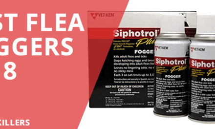 6 Best Flea Bombs and Foggers 2018 – All you need to know