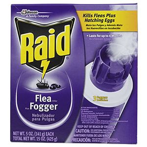 Image of raid fogger