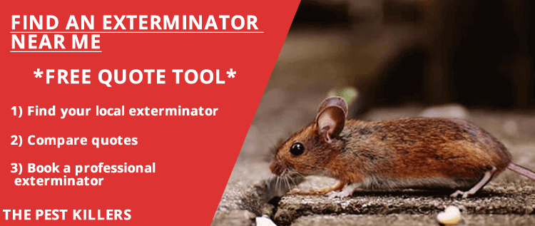 Find Your Local Exterminator Tool